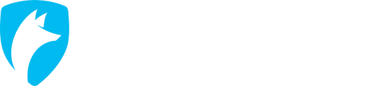 snowFOX SECURE SERVERS